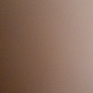 Meet your Posher, Maya